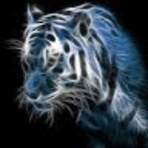 Meet your Posher, Phoebe